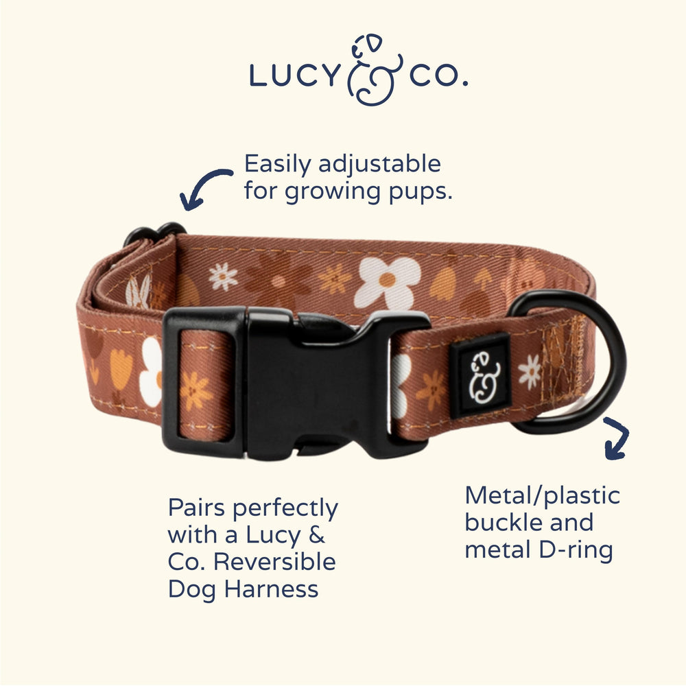 Lucy & Co. collar con hebilla metálica, diseño seguro para perros activos.