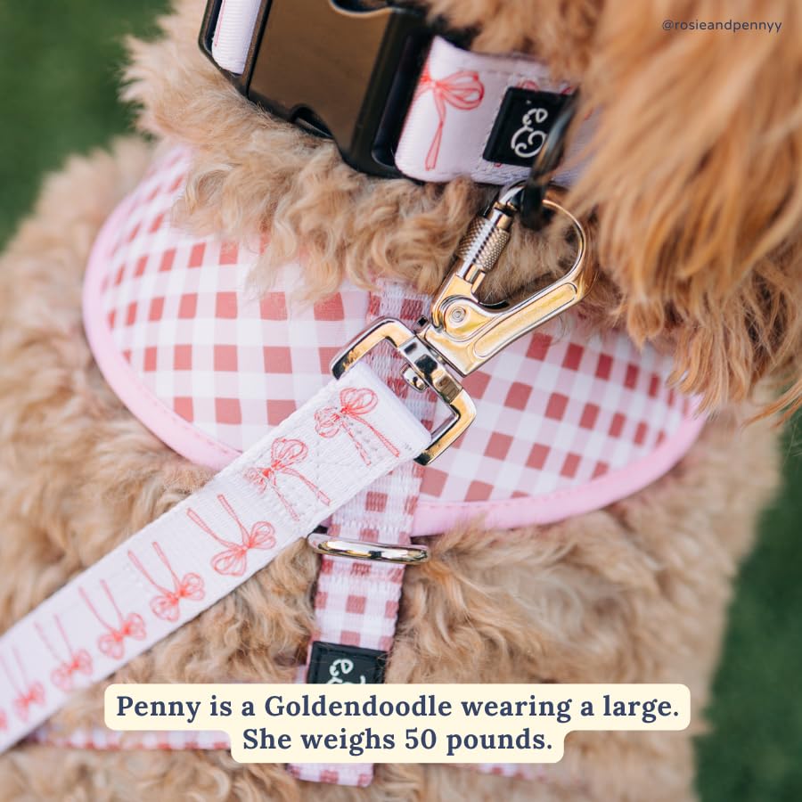 Lucy & Co. collar de poliéster de alta calidad, duradero para juego diario.