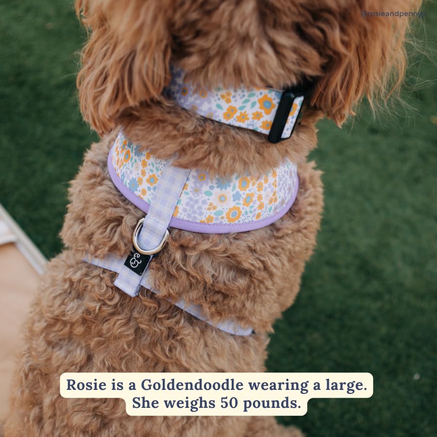 Lucy & Co. diseño floral morado: accesorio elegante para cualquier ocasión