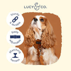 Lucy & Co. Collar Teddy Canela en marrón suave para paseos cómodos.