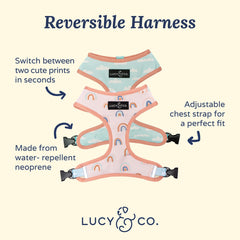Lucy & Co. en Las Nubes: arnés reversible de doble cara para perros mediano, versátil.