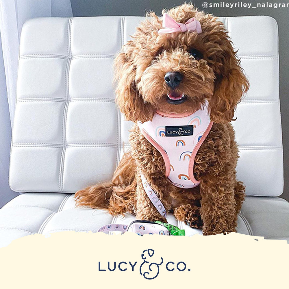 Lucy & Co. en Las Nubes: detalles reforzados para una sujeción duradera y confiable.
