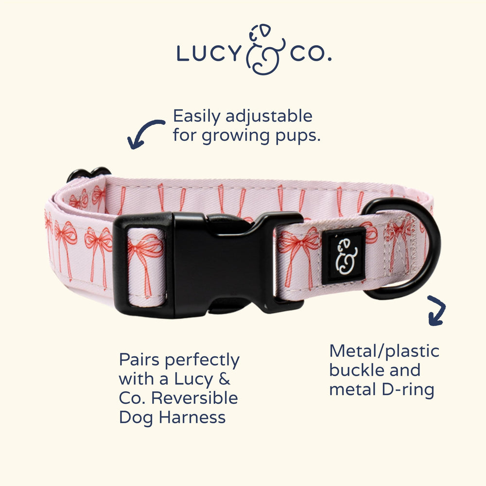 Lucy & Co. hebilla de metal en collar, ajuste seguro para todas las tallas.