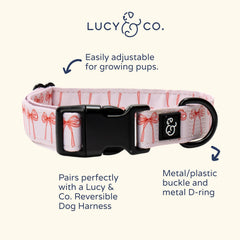 Lucy & Co. hebilla de metal en collar, ajuste seguro para todas las tallas.