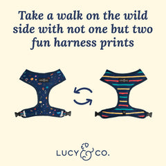 Lucy & Co Space Doodle: arnés para perro mediano con ajuste cómodo y seguro