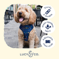 Lucy & Co Space Doodle: cierres reforzados para caminatas más seguras