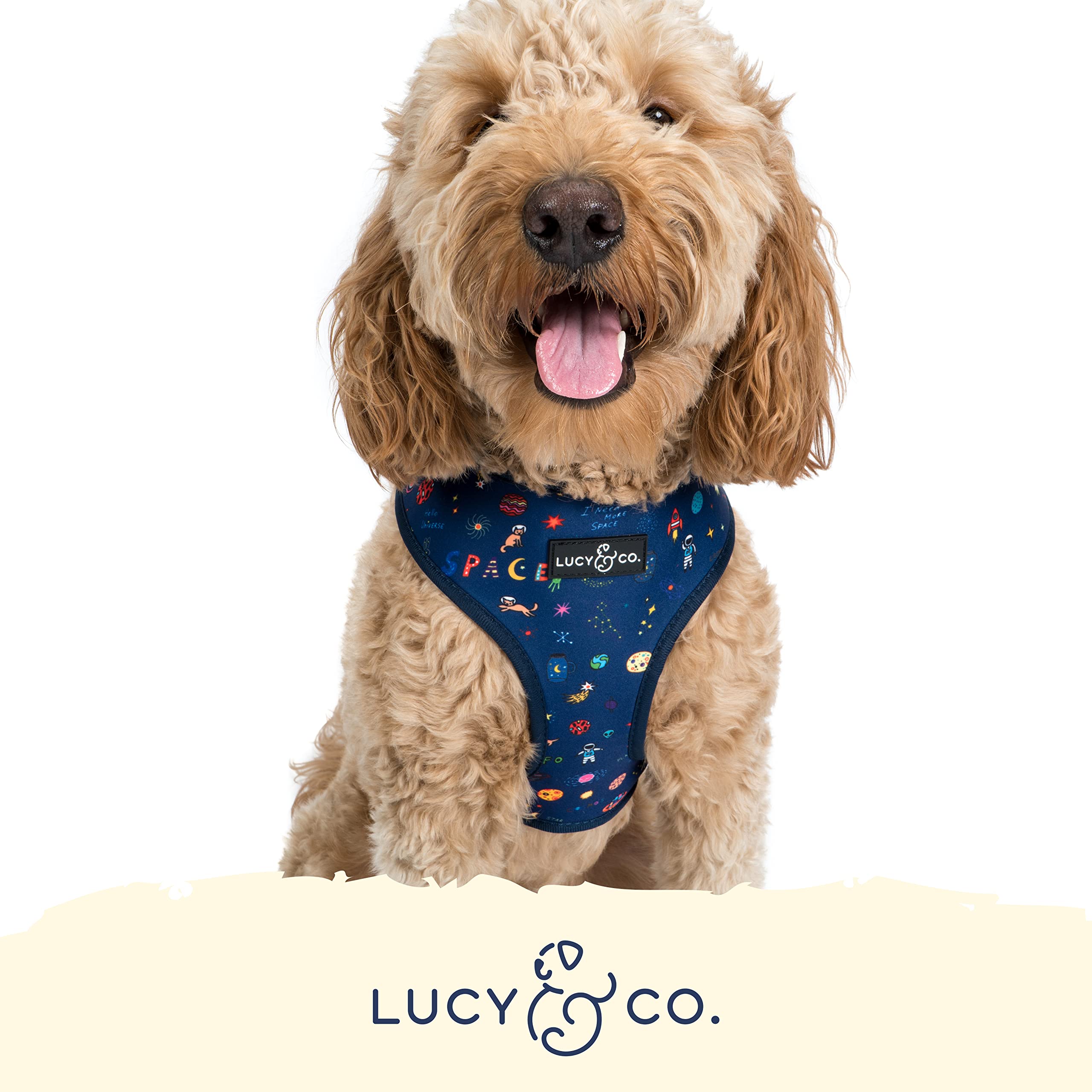 Lucy & Co Space Doodle: diseño con motivos espaciales para estilo en el paseo