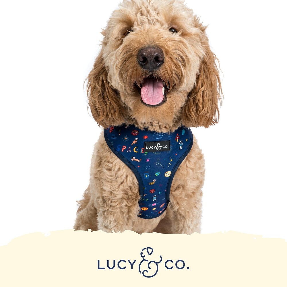 Lucy & Co Space Doodle: diseño con motivos espaciales para estilo en el paseo