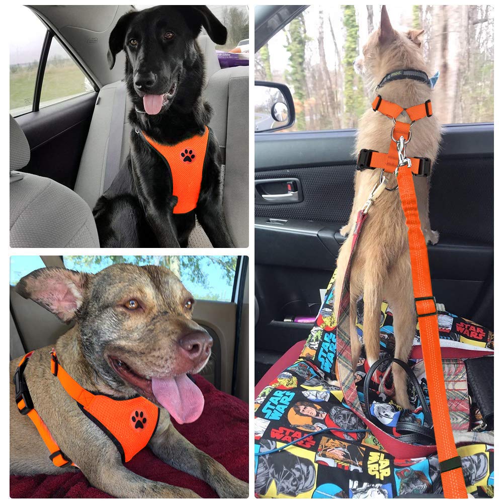 Lukovee cinturón cómodo para perro, ajuste personalizable.