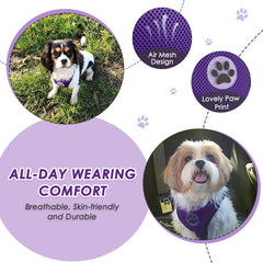 Lukovee cinturon perro seguridad ajuste rapido para distintos tamaños