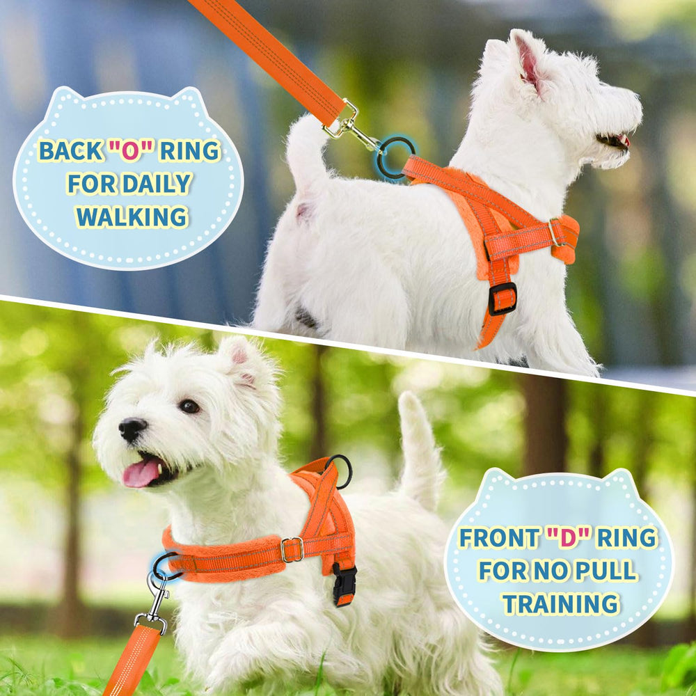 Lukovee correa con bungee, absorbe impactos durante caminatas.