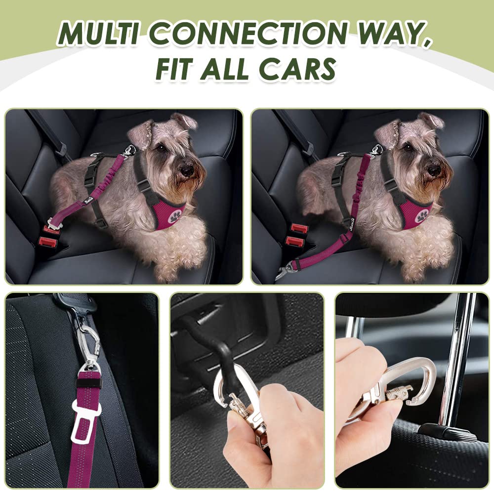 Lukovee correa-seguridad-perro-elastica, movilidad controlada para viajar.