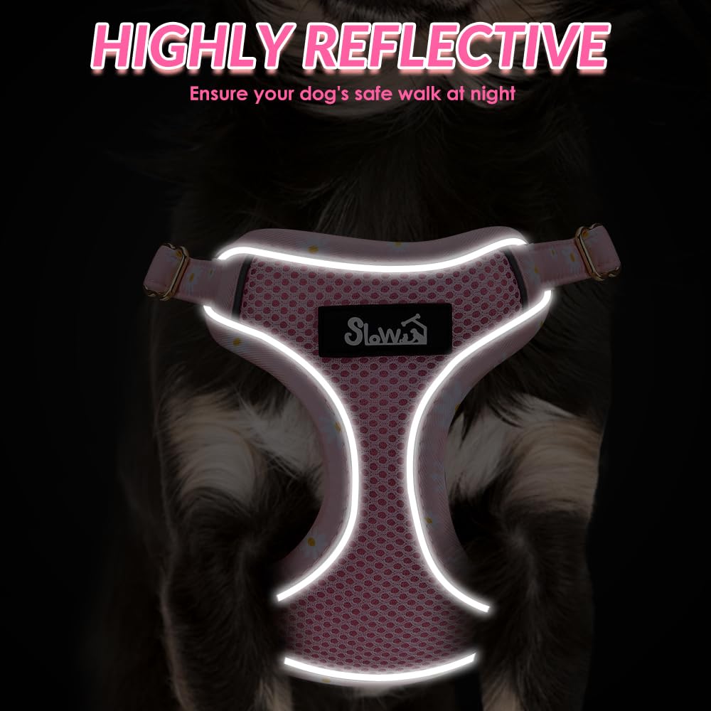 lukovee diseño moderno y colorido para lucir al perro