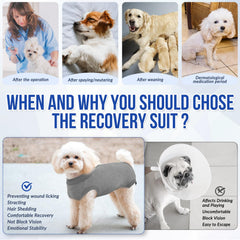 Lukovee Recovery Suit: area-trasera-amplia facilita uso del baño.