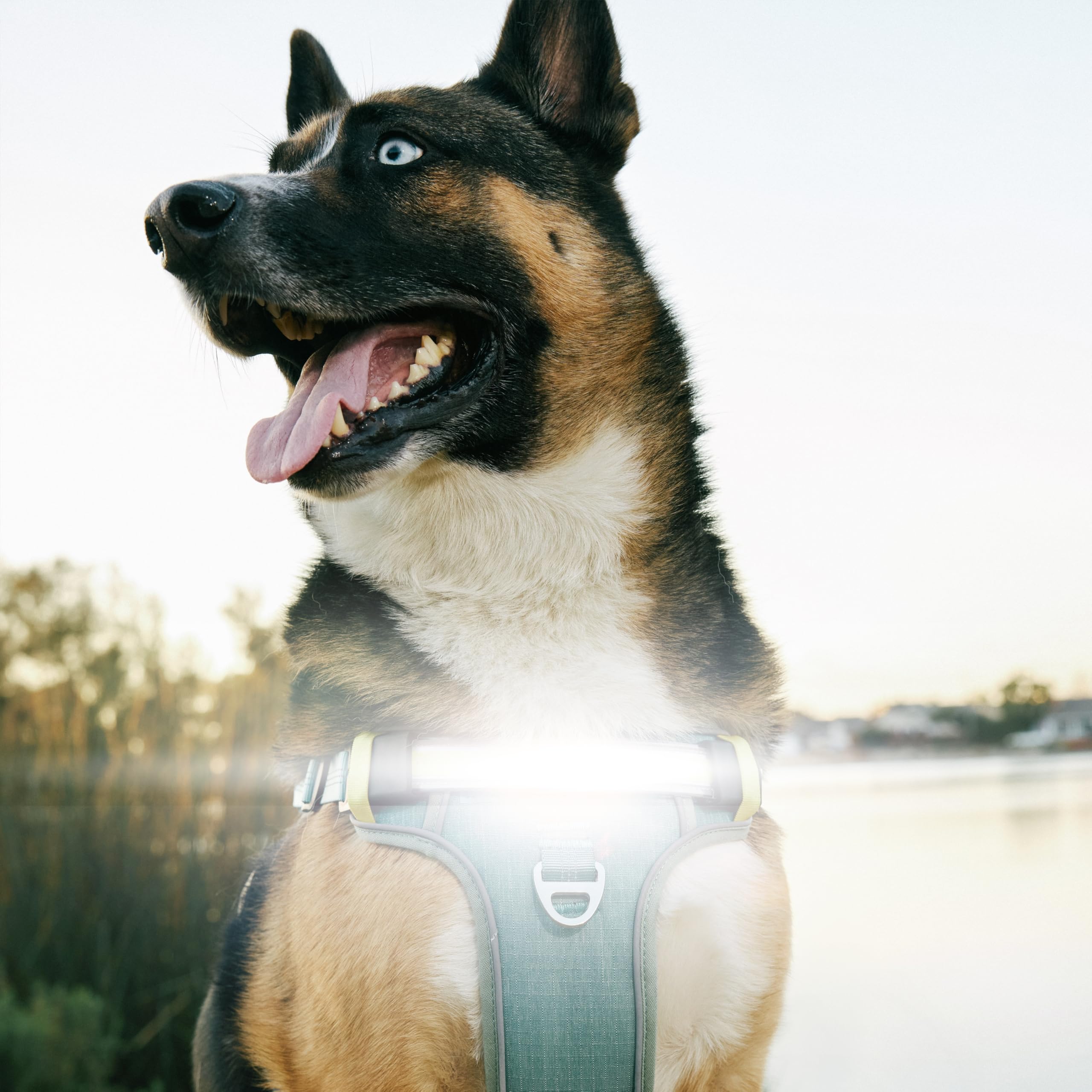 Lumi One: confort duradero para paseos prolongados.