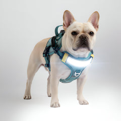 Lumi One: luz de 1000 lm para mayor visibilidad nocturna del perro.