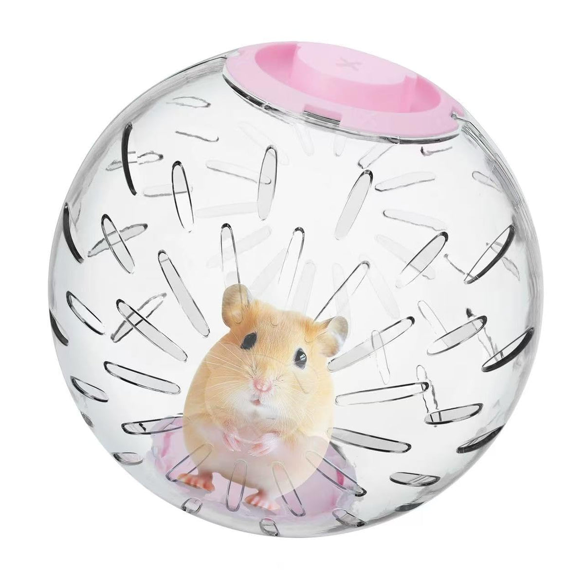 LummiPlay bola de hamster transparente para observar movimientos y señales de bienestar