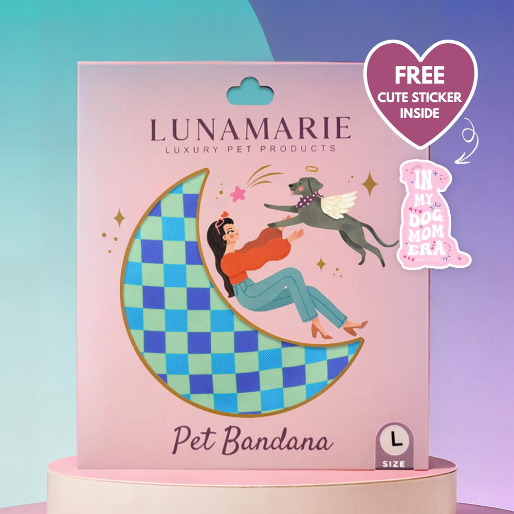 LunaMarie Rebel eléctrico 02: diseño llamativo para fotos memorables.