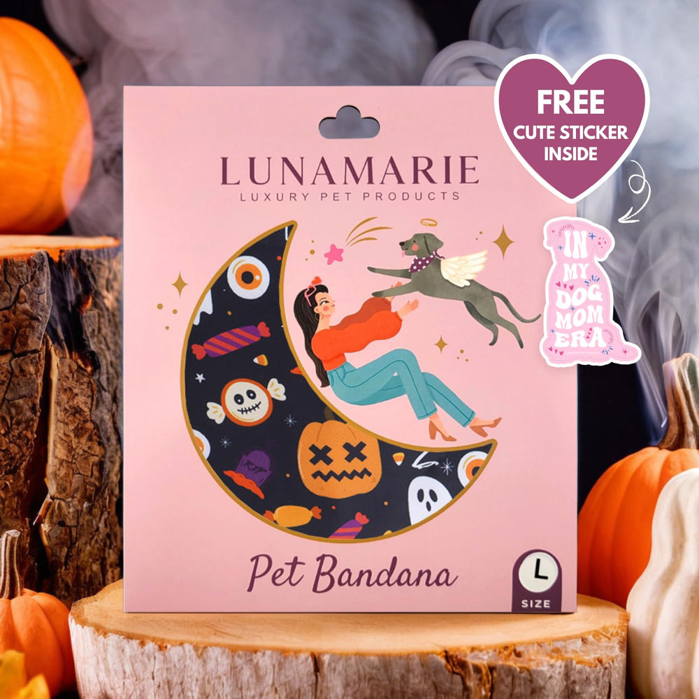 Bandana LunaMarie pequeña para cuello de gato o perro.