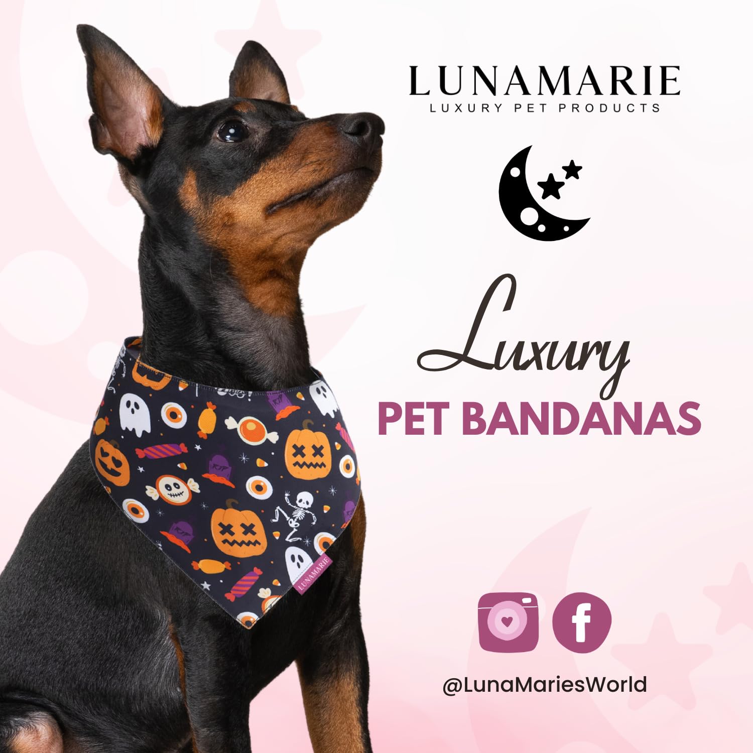 Bandana LunaMarie de doble capa para mascotas, resistente para aventuras diarias.