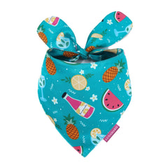 LunaMarie bandana-cumpleanos-mascotas: lujo suave para fotos memorables