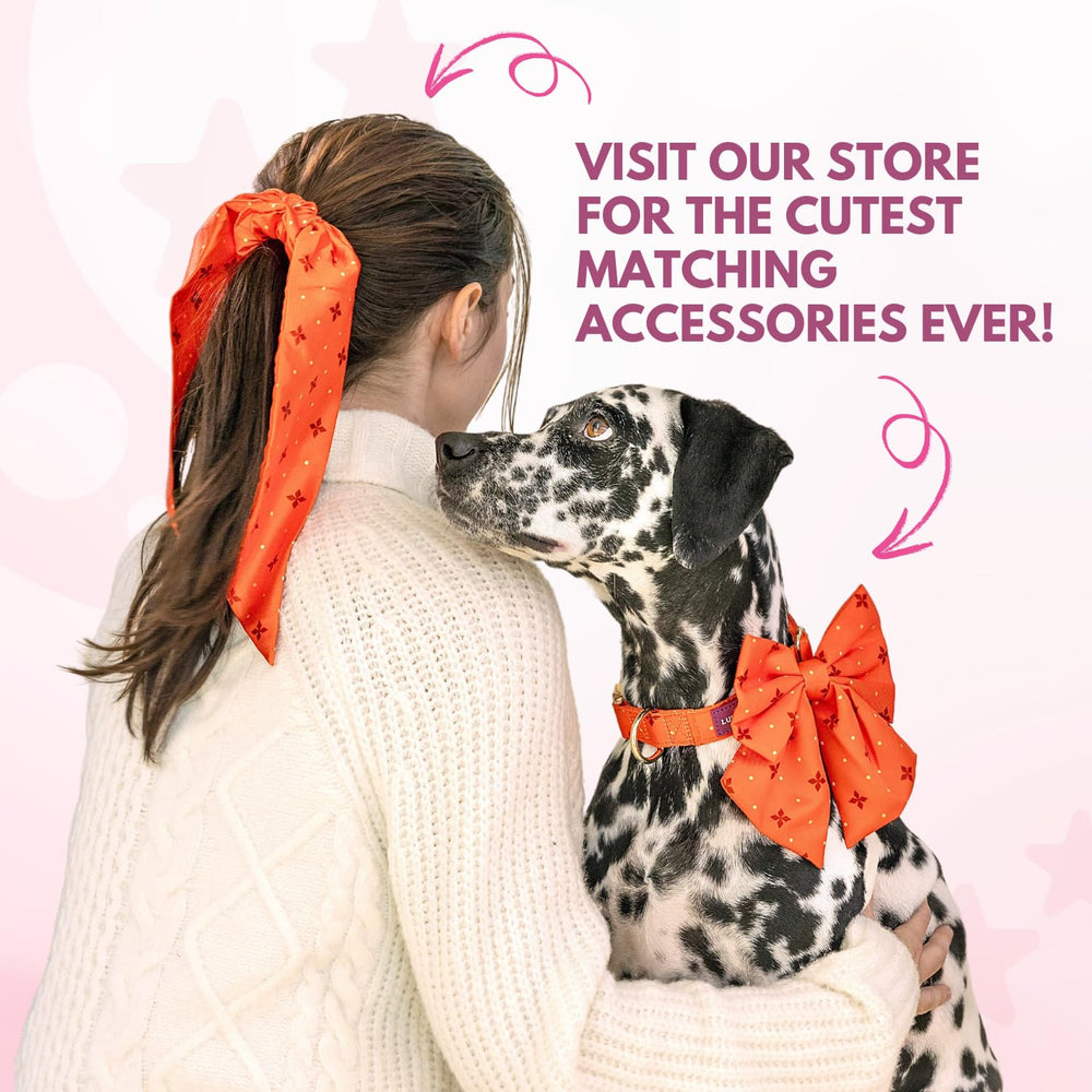 Bandana LunaMarie para todas las mascotas, Rebel, tamaño pequeño, versátil para razas y estilos.