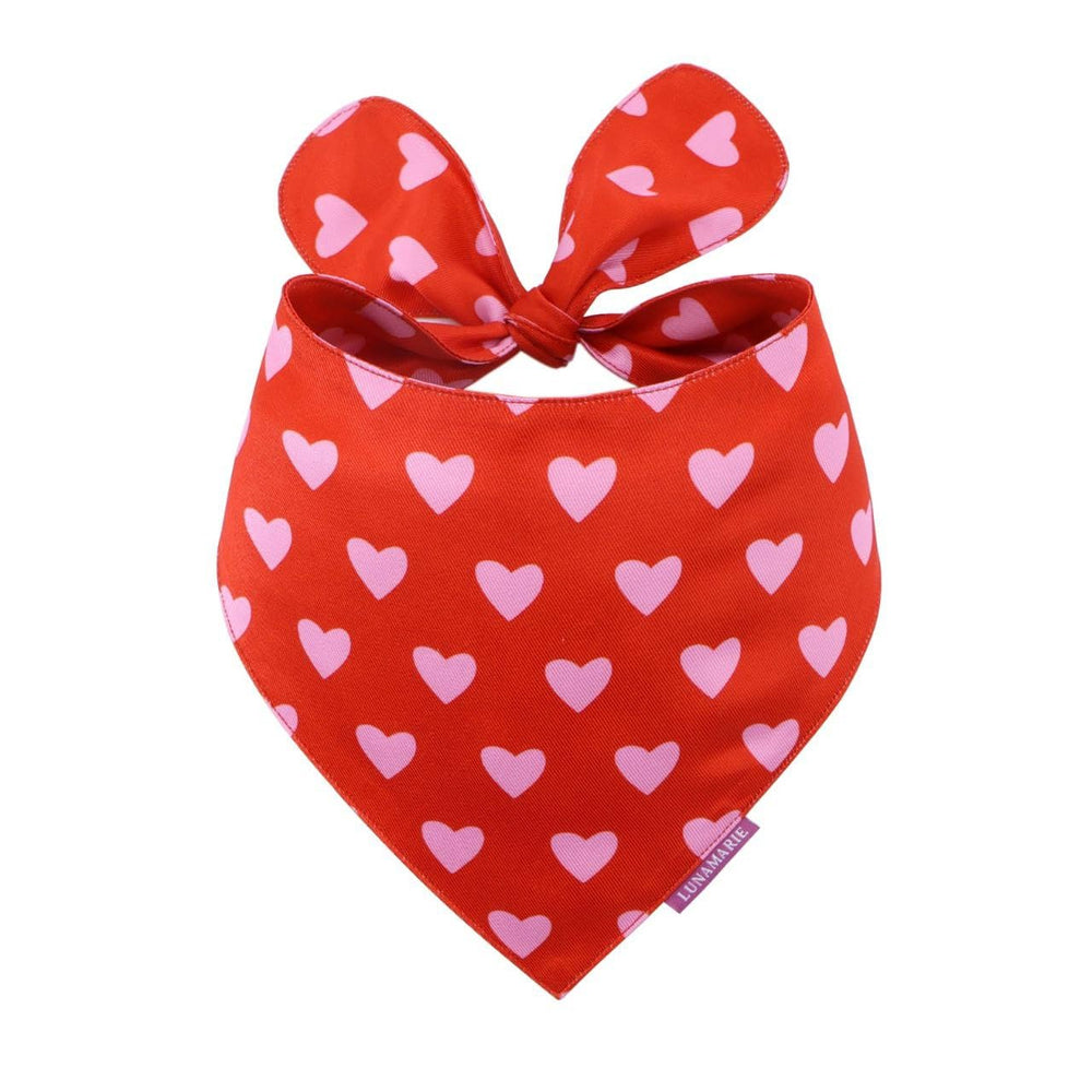 LunaMarie Evie Hearts para perros, pañuelo de cumpleaños, ideal para fotos.
