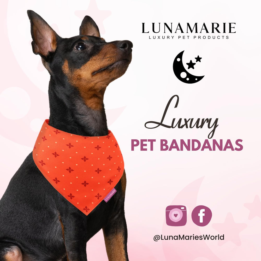 LunaMarie bandana Ember mediano, doble capa para mayor durabilidad en aventuras.