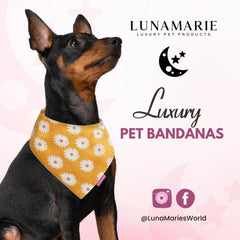 Bandana LunaMarie suave poliéster margaritas pequeña, ideal para uso diario.