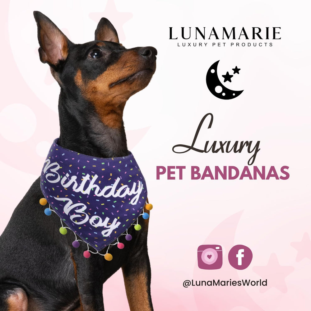 LunaMarie banda talla pequeña para cuellos de hasta 14 pulgadas.