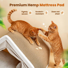 LUNNTE casa para gatos con cortinas para privacidad y siestas tranquilas.
