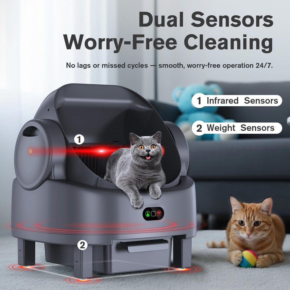 LUODIER arenero de diez litros, ideal para familias con varios felinos