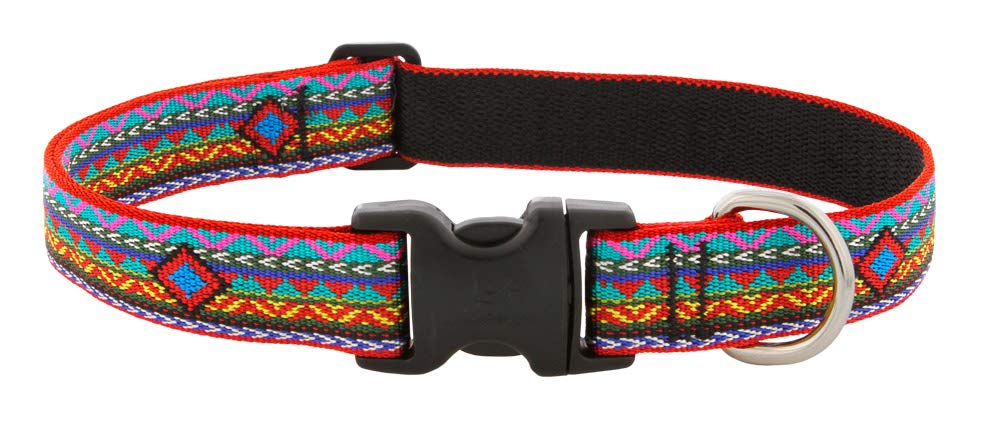 Collar Lupine El Paso 1 pulgada, ajustable 16-28 pulgadas, ideal para perros grandes.