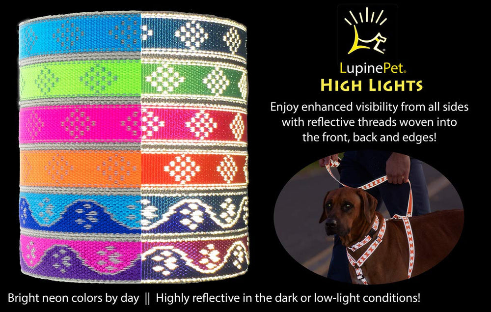 Collar Lupine reflectante para perro azul patas, ajuste 9-14 pulgadas, ideal para paseos nocturnos.