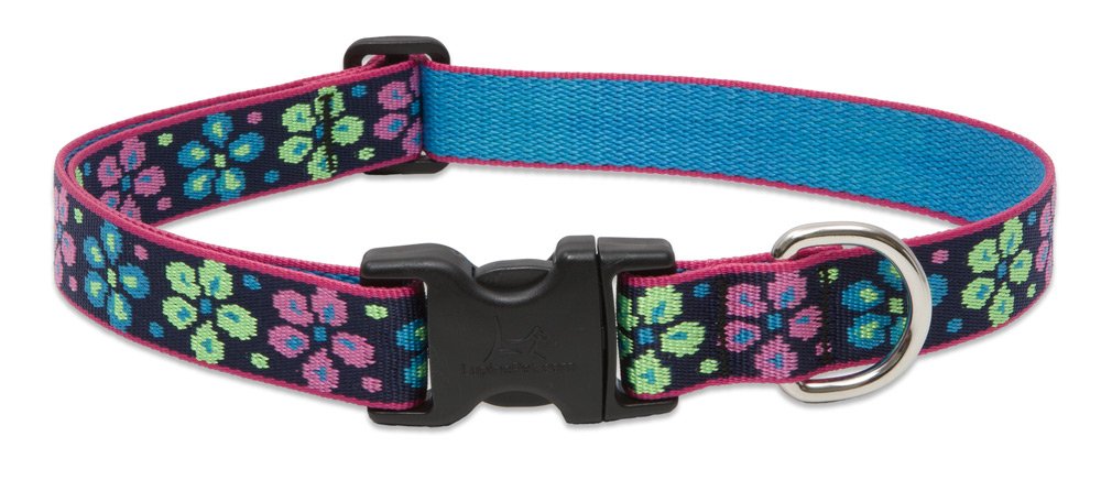 Collar Lupine Flor Poder: diseño jacquard duradero para uso diario con perros medianos y grandes.