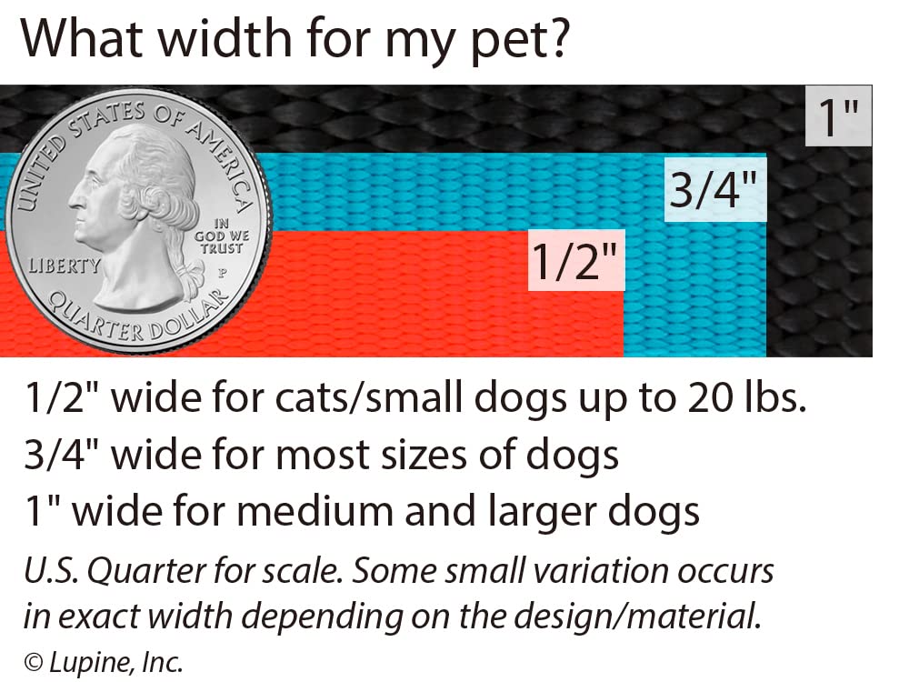 Acabado rojo y diseño resistente, ideal para perros activos.