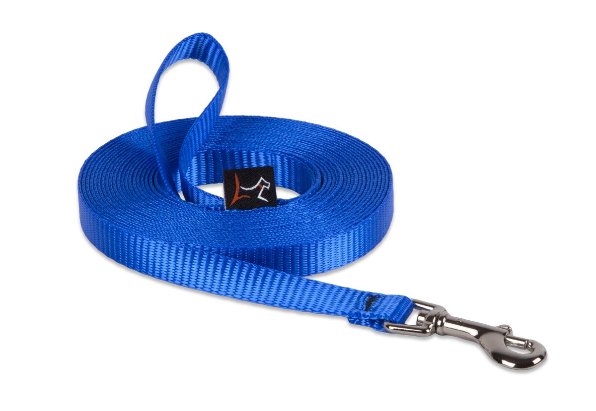 Asa bucle auto LupinePet Basics, cómodo para sesiones de entrenamiento.