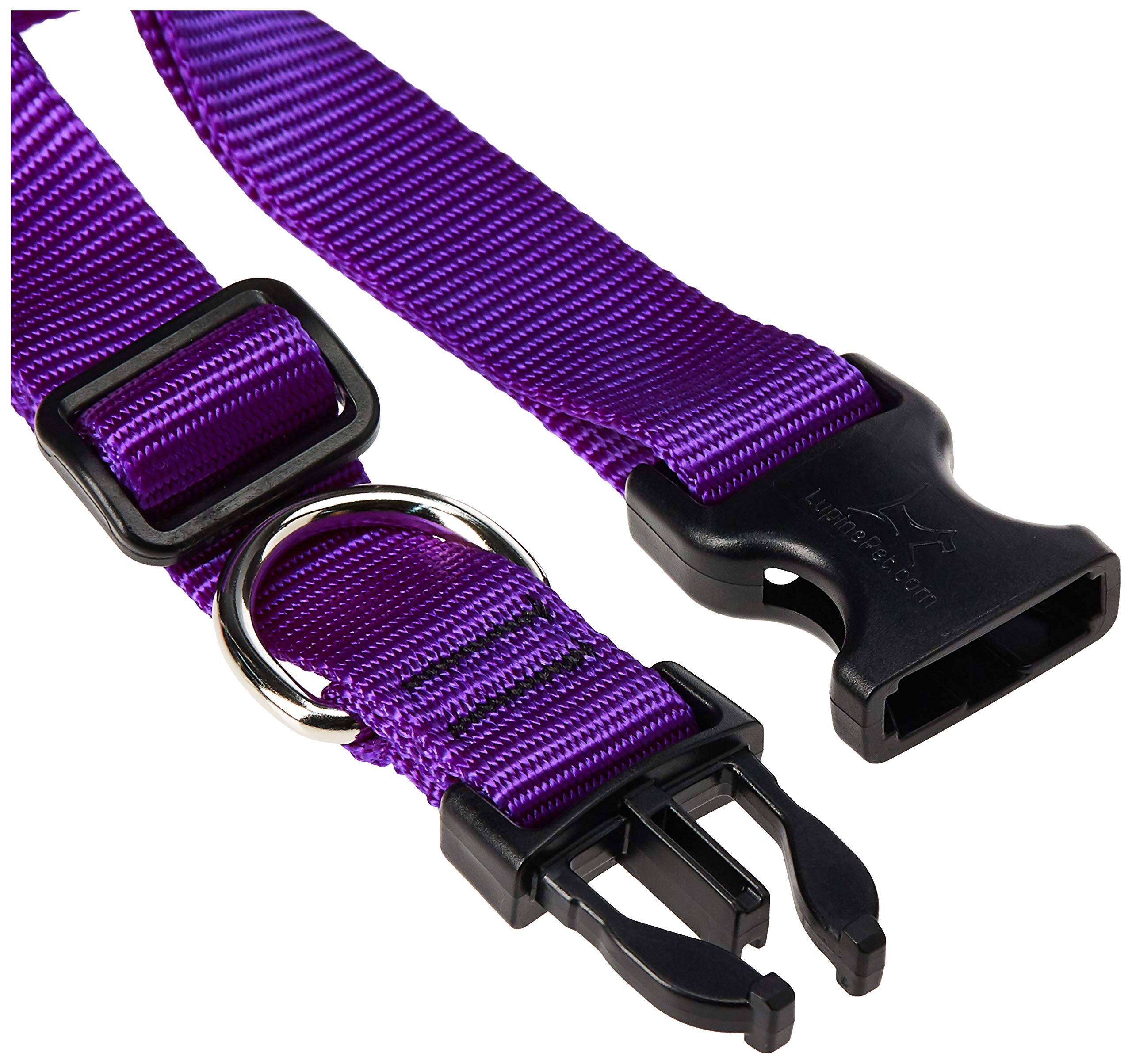 LupinePet Basics collar ajustable morado, ideal para paseos diarios y seguridad