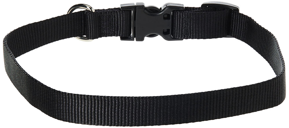 Detalle de cierre del collar LupinePet Basics negro, ideal para paseos diarios.
