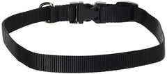 Detalle de cierre del collar LupinePet Basics negro, ideal para paseos diarios.