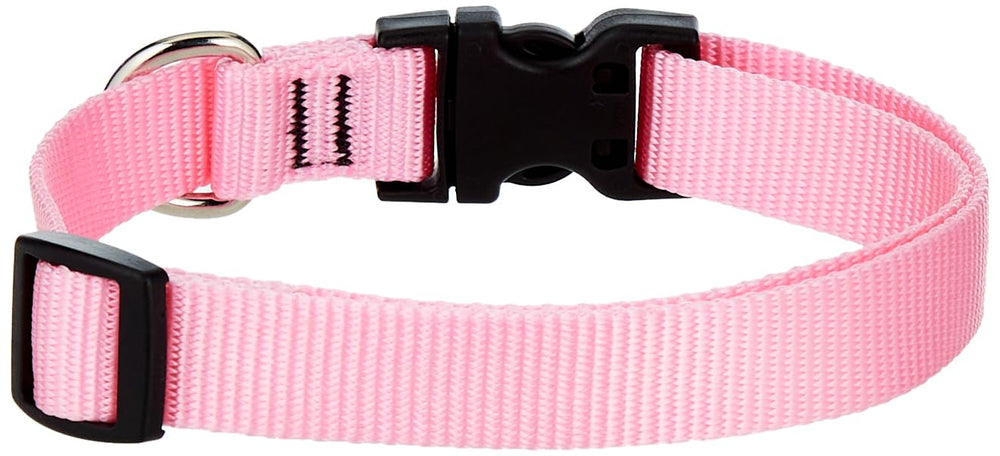Detalle de hebilla LupinePet Basics rosado, duradero para uso diario.