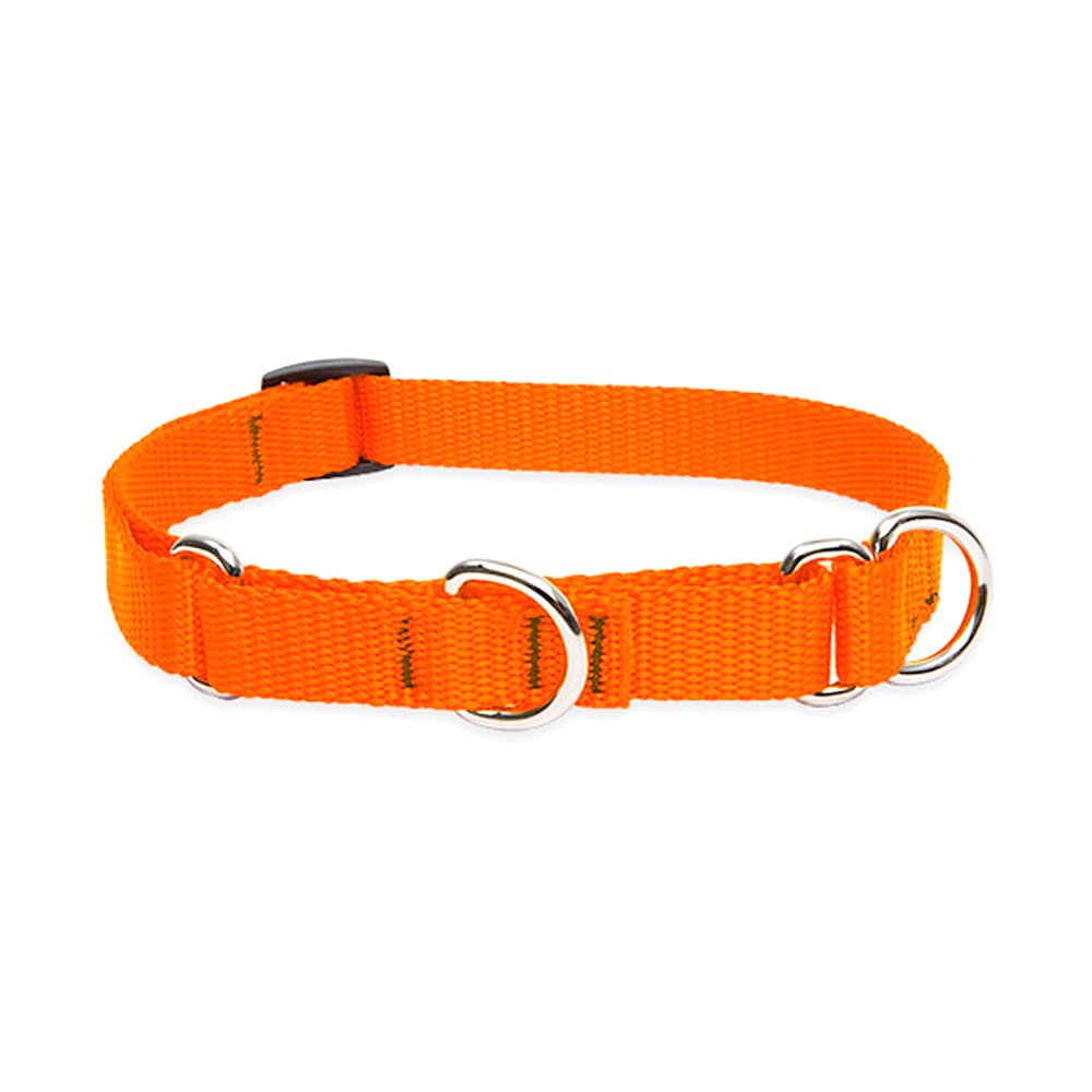 Collar martingala LupinePet Basics en naranja blaze para perros pequeños, opción de entrenamiento suave