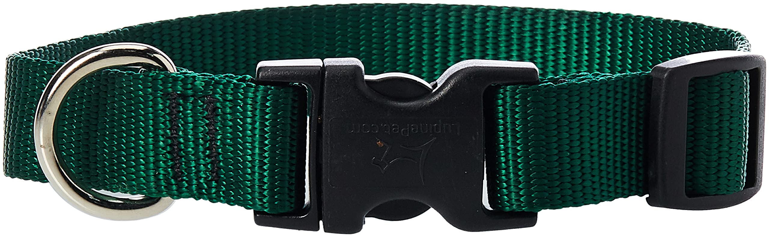 Collar LupinePet Basics verde de 3/4 de pulgada para perros pequeños, cómodo y duradero.
