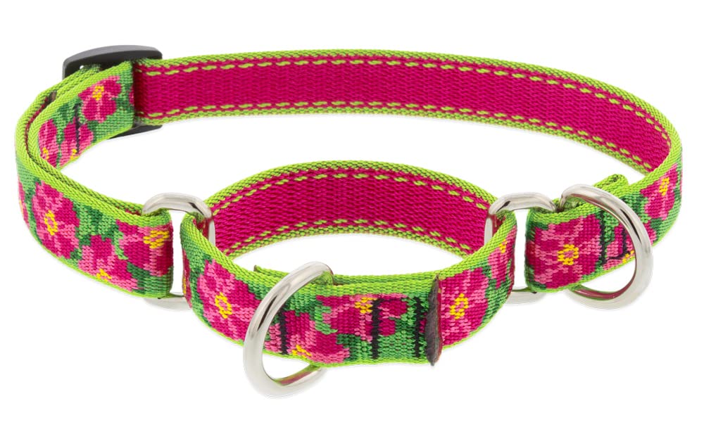Collar martingale LupinePet Petunias, 10-14 pulgadas, ofrece seguridad al paseo.