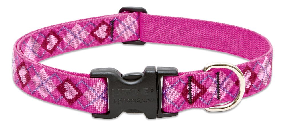 Collar LupinePet para perro mediano, enfoque frontal en el diseño amor de cachorro y ajuste cómodo.