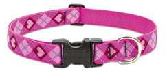 Collar LupinePet para perro mediano, enfoque frontal en el diseño amor de cachorro y ajuste cómodo.