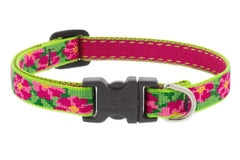 Collar LupinePet para perros pequeños, ajuste 8-12 pulgadas, ideal para perros de hasta 20 lb.