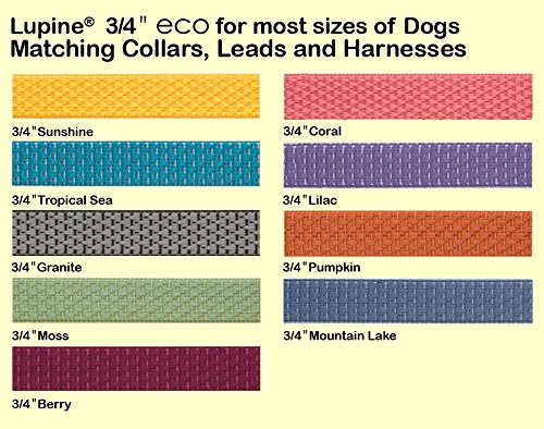 Arnés LupinePet Eco Lago de Montaña para perros pequeños 15-21 pulgadas, ideal para salidas urbanas.