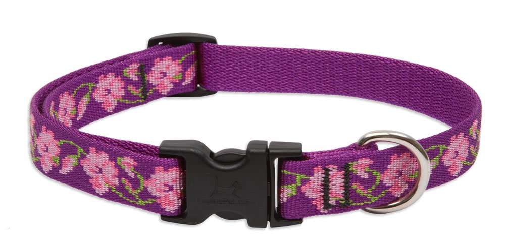 Collar LupinePet Originales Rosa Jardín para paseos diarios y ajuste cómodo