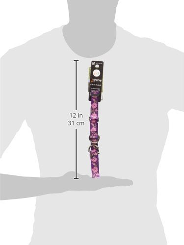 Collar martingala de deslizamiento limitado LupinePet Originales, mayor control durante paseos